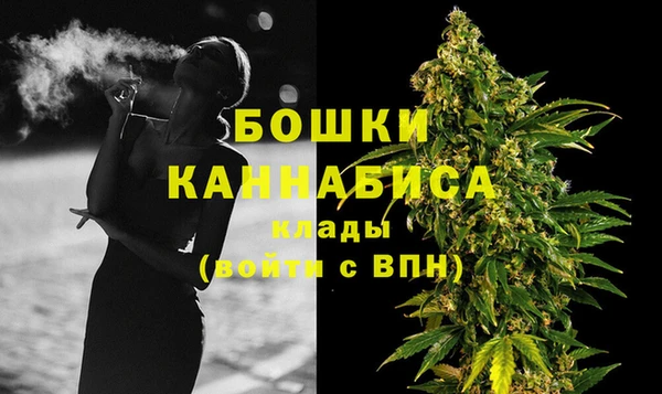 молекула духа Вязьма
