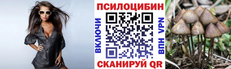 ОМГ ОМГ ТОР  Верхняя Пышма  Псилоцибиновые грибы ЛСД 