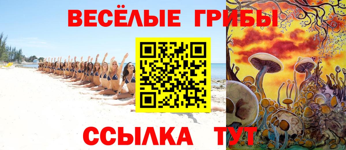 Верхняя Пышма  Галлюциногенные грибы Magic Shrooms  Вход с VPN  Псилоцибиновые грибы мицелий 