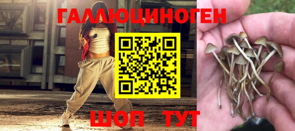 Галлюциногенные грибы GOLDEN TEACHER Верхняя Пышма