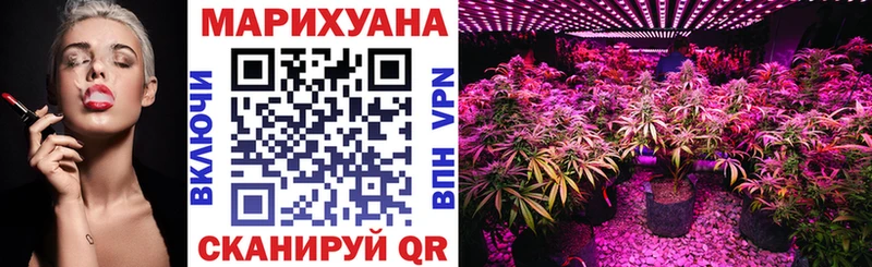 где найти наркотики  Верхняя Пышма  Шишки марихуана план 